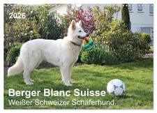 Berger Blanc Suisse - Berger