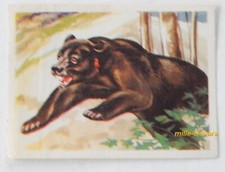 Image CHROMO Chocolat