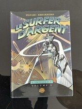 LE SURFER D'ARGENT