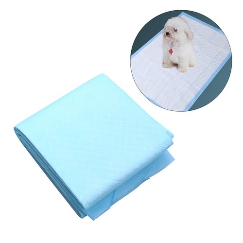 Coussinets pour pipi chien - pour, de