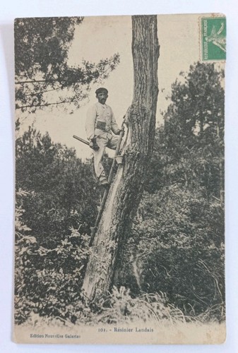 Cpa resinier landais - cpa, (landes)