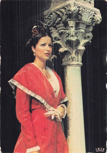 Arles arlesienne costume - arles,