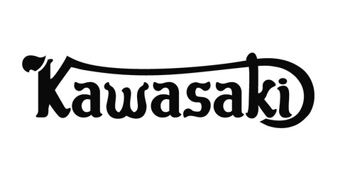 Sticker kawasaki style - sticker,