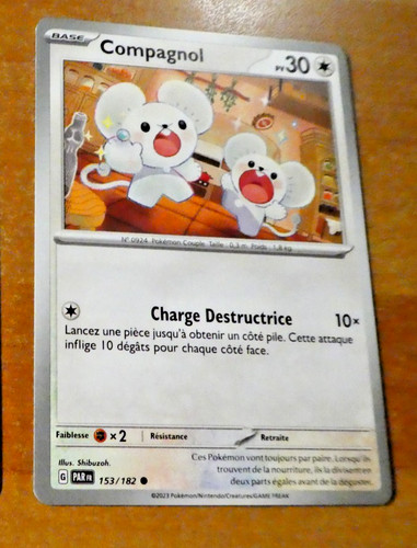 Pokemon faille paradoxe card - pokemon,