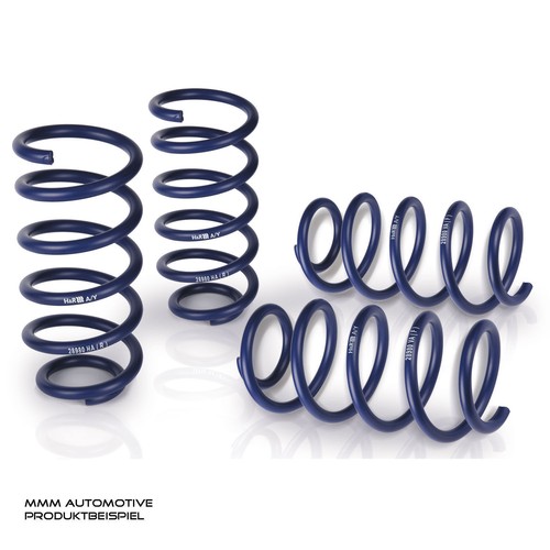 Springs 29161 2 opel - mm, 29161-2