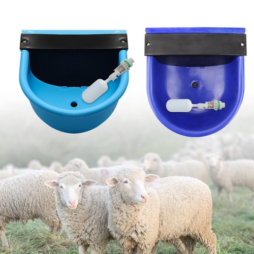 Bol eau potable automatique - potable,