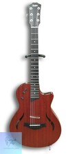 TAYLOR Electric Acoustic T5Z
