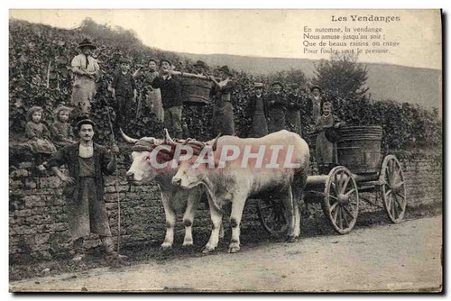Les vendanges automne - les,