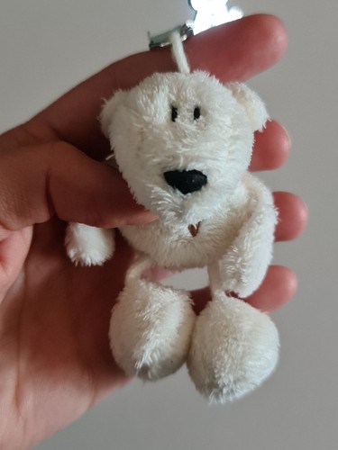 Nici peluche ours
