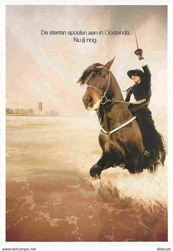Carte postale animaux - carte,