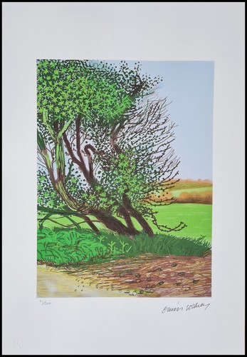 David hockney the arrival - hockney,