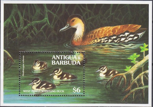 Antigua 1994 ouest indien - antigua,