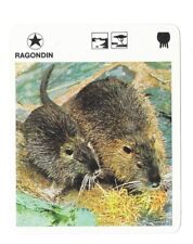 Fiche - Le livre de Paris - 1975 - Ragondin