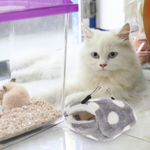 Accessoires pour hamsters - pour,