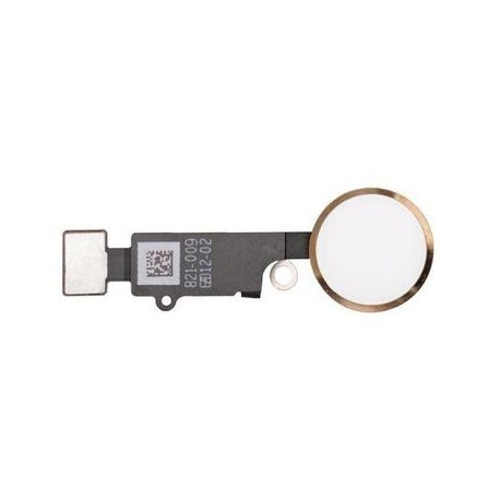 Nappe bouton home - factice, pour