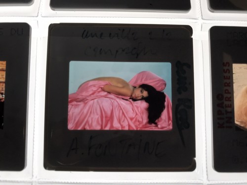 Sexe femme dénudée - sexe,