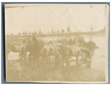 France, Scène de genre