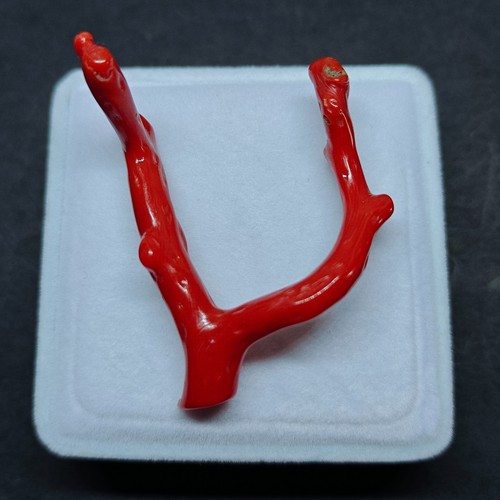 Bâton branche poli corail - branche,