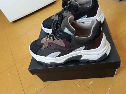 Ash trainers - ash,