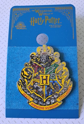 Magnifique pin harry - pin's, potter