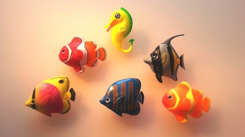 Poissons cheval de mer - 1,