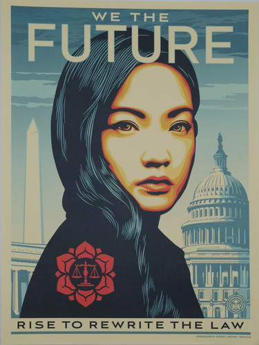Shepard fairey rise - (obey),