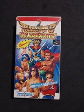 Hyriu No Ken Golden Fighter