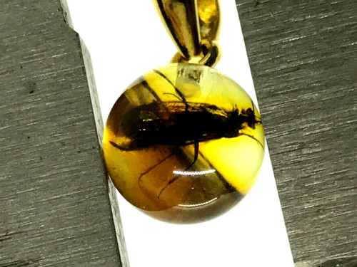 Pendentif ambre cadeau insecte - pendentif,