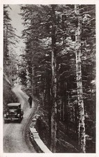 06-MOULINET-N�2952-D/0209