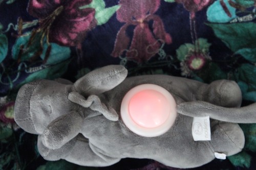 Doudou noukies ane - noukies, gris