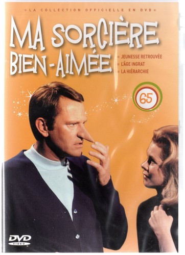 Sorciere bien aimee - sorciere,