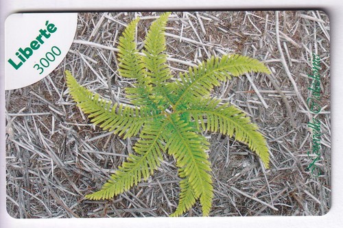 Nouvelle caledonie telecarte - nouvelle,
