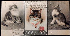 N°808/ 100  3  Cartes Postales Anciennes  Chromos  Portraits de Chats
