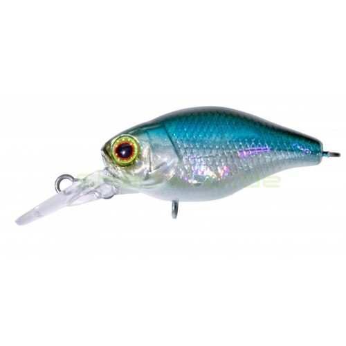 Illex chubby nf ablette - illex,