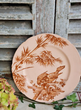 ANCIENNE ASSIETTE PLATE