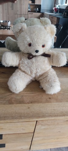 Ours peluche teddy bear - en,