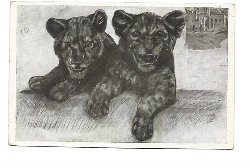Carte fantaisie illustration - carte,
