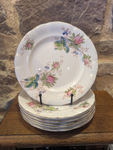 Assiettes plates terre de - terre,