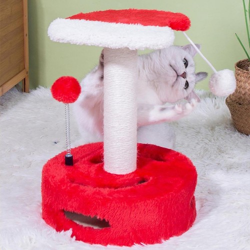 Arbre chat avec - avec, griffoir