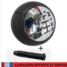 Pommeau CHROME DE LEVIER 6