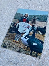 Clipping coupure de presse article Sheila Ringo 1 page