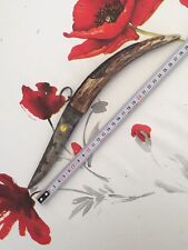 Couteau corse corne plein