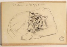 Dessin fusain animalier