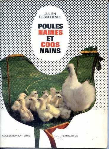 Poules naines coqs nains - poules, et
