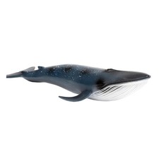 Modèle de baleine bleue