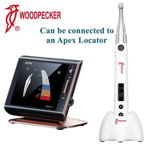 Woodpecker endo motor - woodpecker,