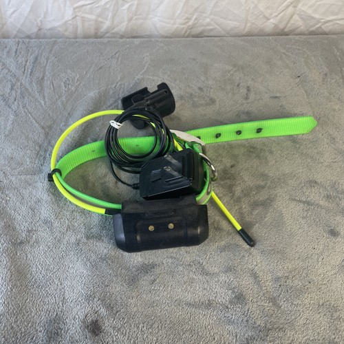 Garmin dc40 dog - garmin,