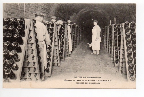 Champagne cpa vins vignes - cpa, 51