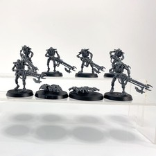 x8 Guerriers + Scarabés