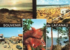 33 LACANAU